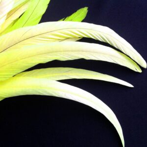 Lemon Yellow Rooster Feathers