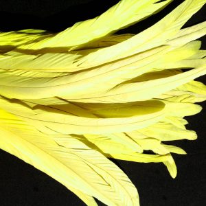 Lemon Yellow Rooster