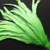 Lime Green Rooster Long