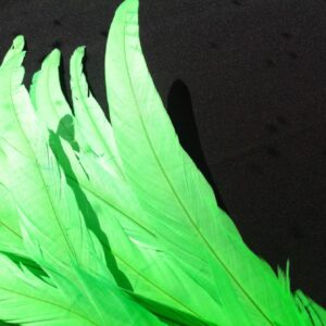 Lime Green Rooster Feathers
