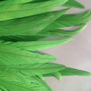Lime Green Rooster Feathers