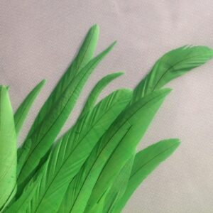 Lime Green Rooster Feathers