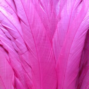 Neon Pink Rooster Feathers