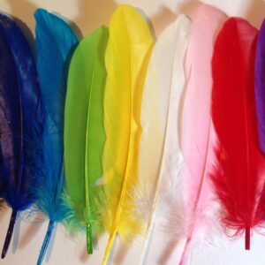 Feather Tips