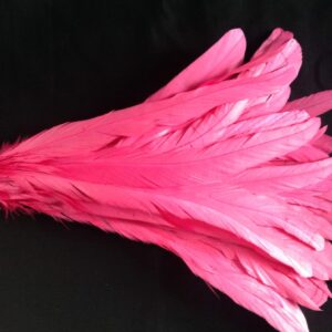 Bright Pink Rooster Feathers