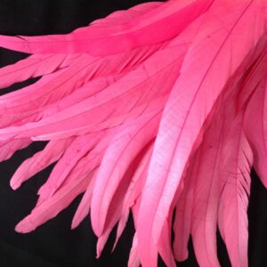 Bright Pink Rooster Feathers