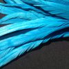 Turquoise Rooster Feathers