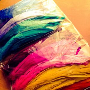 All Rooster Feathers