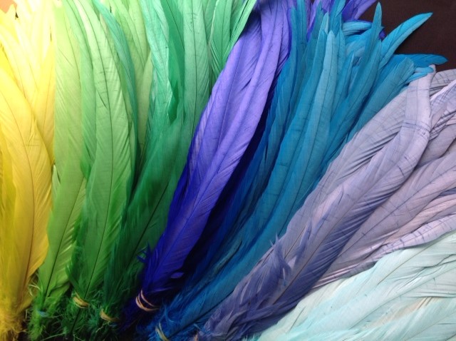 Dyed Rooster Feathers